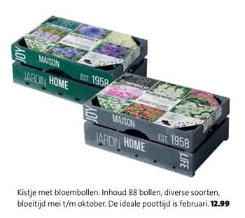 Promoties Kistje met bloembollen - Huismerk - Intratuin - Geldig van 01/03/2018 tot 31/12/2018 bij Intratuin