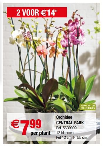 Promoties Orchidee central park - Central Park - Geldig van 13/03/2018 tot 26/03/2018 bij Brico