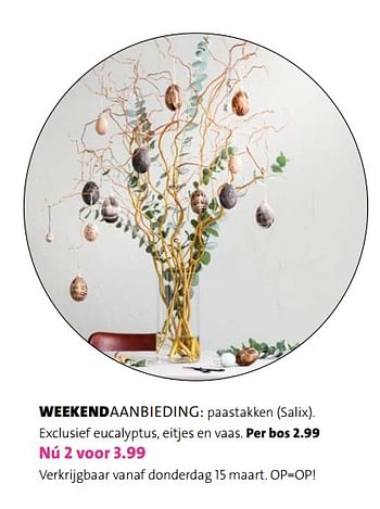 Promoties Weekendaanbieding paastakken - Huismerk - Intratuin - Geldig van 12/03/2018 tot 25/03/2018 bij Intratuin