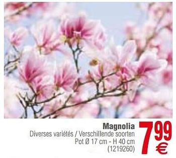 Promotions Magnolia - Produit maison - Cora - Valide de 13/03/2018 à 26/03/2018 chez Cora