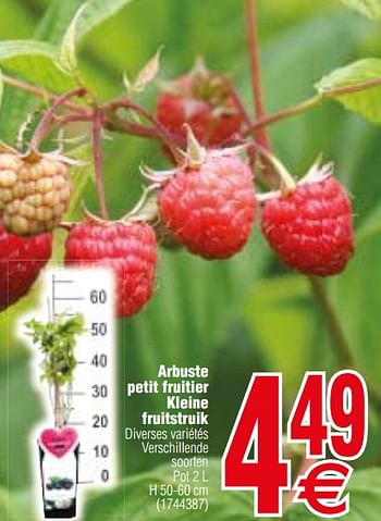 Promoties Arbuste petit fruitier kleine fruitstruik - Huismerk - Cora - Geldig van 13/03/2018 tot 26/03/2018 bij Cora