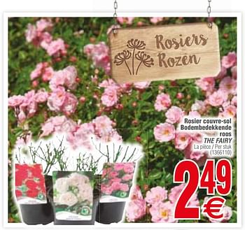 Promoties Rosier couvre-sol bodembedekkende roos - Huismerk - Cora - Geldig van 13/03/2018 tot 26/03/2018 bij Cora
