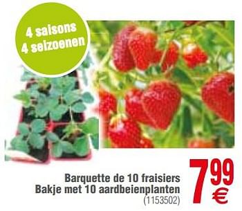 Promotions Barquette de 10 fraisiers bakje met 10 aardbeienplanten - Produit maison - Cora - Valide de 13/03/2018 à 26/03/2018 chez Cora