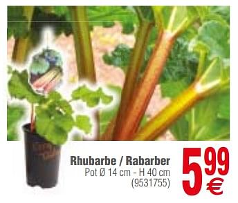 Promotions Rhubarbe - rabarber - Produit maison - Cora - Valide de 13/03/2018 à 26/03/2018 chez Cora