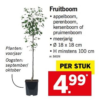 Promoties Fruitboom - Huismerk - Lidl - Geldig van 19/03/2018 tot 24/03/2018 bij Lidl