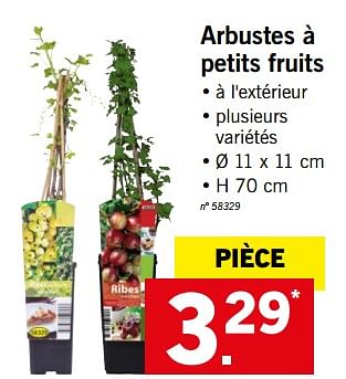 Promotions Arbustes à petits fruits - Produit maison - Lidl - Valide de 19/03/2018 à 24/03/2018 chez Lidl
