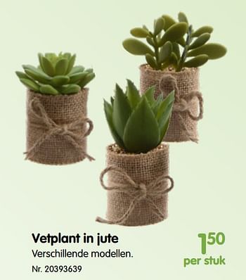 Promoties Vetplant in jute - Huismerk - Fun - Geldig van 13/03/2018 tot 16/04/2018 bij Fun