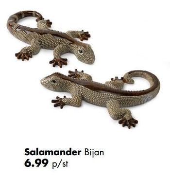 Promoties Salamander bijan - Huismerk - Multi Bazar - Geldig van 02/04/2018 tot 06/05/2018 bij Multi Bazar