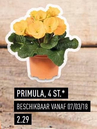 Promoties Primula - Huismerk - Aldi - Geldig van 03/04/2018 tot 30/06/2018 bij Aldi