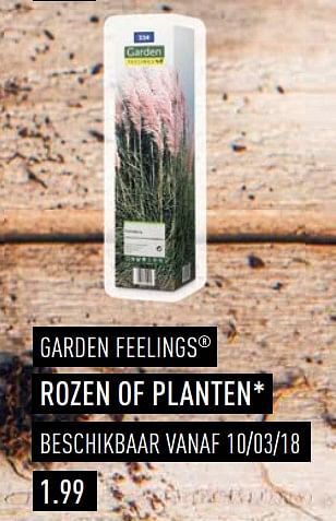 Promotions Rozen of planten - Garden Feelings - Valide de 03/04/2018 à 30/06/2018 chez Aldi