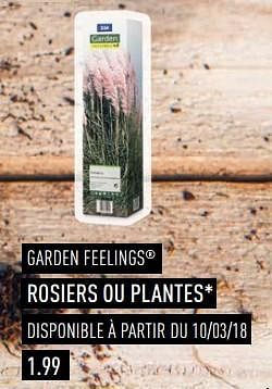 Promotions Rosiers ou plantes - Garden Feelings - Valide de 03/04/2018 à 30/06/2018 chez Aldi