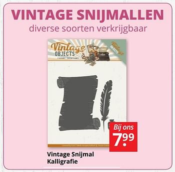 Promoties Vintage snijmal kalligrafie - Huismerk - Boekenvoordeel - Geldig van 13/04/2018 tot 21/04/2018 bij BoekenVoordeel
