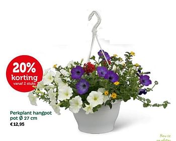 Promoties Perkplant hangpot pot - Huismerk - Aveve - Geldig van 24/04/2018 tot 06/05/2018 bij Aveve
