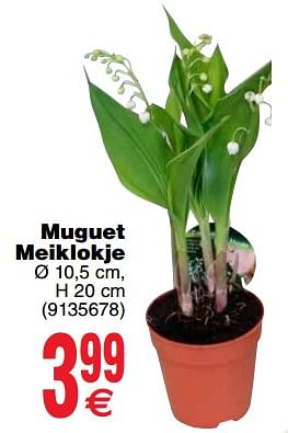 Promoties Muguet meiklokje - Huismerk - Cora - Geldig van 24/04/2018 tot 30/04/2018 bij Cora