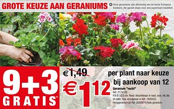 Promoties Geranium recht - Huismerk - Brico - Geldig van 25/04/2018 tot 07/05/2018 bij Brico