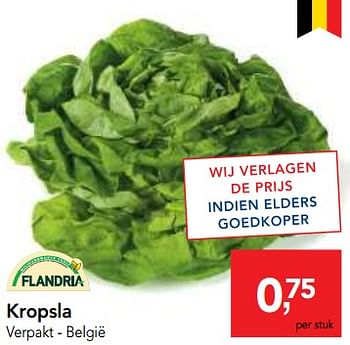 Promoties Kropsla - Flandria - Geldig van 25/04/2018 tot 08/05/2018 bij Makro