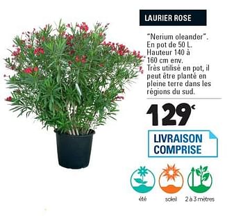 Promotions Laurier rose - Produit Maison - E.Leclerc - Valide de 06/02/2018 à 31/12/2018 chez E.Leclerc