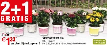 Promoties Osteospermum mix - Huismerk - Brico - Geldig van 09/05/2018 tot 28/05/2018 bij Brico