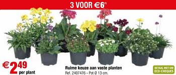 Promotions Ruime keuze aan vaste planten - Produit maison - Brico - Valide de 09/05/2018 à 28/05/2018 chez Brico
