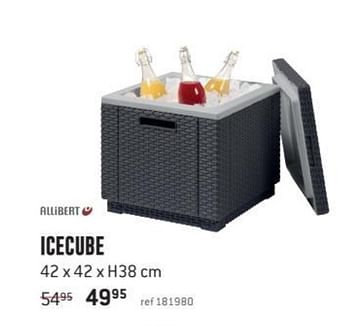 Promoties Icecube - Allibert - Geldig van 30/04/2018 tot 27/05/2018 bij Freetime