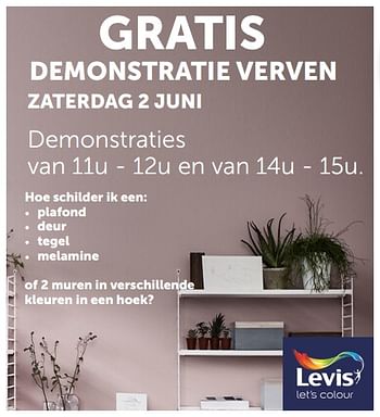 Promotions Gratis demonstratie verven zaterdag 2 juni - Levis - Valide de 15/05/2018 à 11/06/2018 chez Zelfbouwmarkt