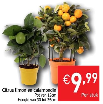 Promoties Citrus limon en calamondin - Huismerk - Intermarche - Geldig van 15/05/2018 tot 21/05/2018 bij Intermarche