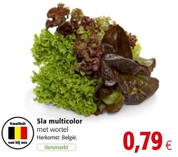 Promoties Sla multicolor met wortel - Huismerk - Colruyt - Geldig van 16/05/2018 tot 22/05/2018 bij Colruyt