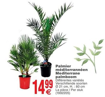 Promotions Palmier méditerranéen mediteraanse palm - Produit maison - Cora - Valide de 15/05/2018 à 28/05/2018 chez Cora