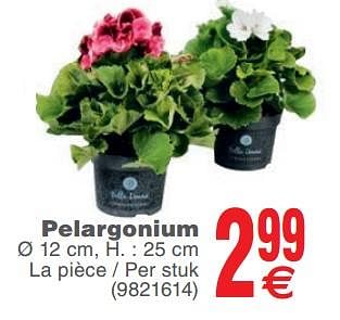Promoties Pelargonium - Huismerk - Cora - Geldig van 15/05/2018 tot 28/05/2018 bij Cora