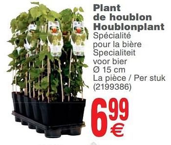Promotions Plant de houblon houblonplant - Produit maison - Cora - Valide de 15/05/2018 à 28/05/2018 chez Cora