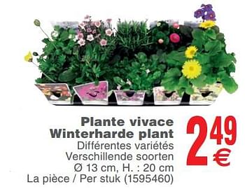 Promoties Plante vivace winterharde plant - Huismerk - Cora - Geldig van 15/05/2018 tot 28/05/2018 bij Cora