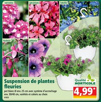 Promoties Suspension de plantes fleuries - Qualité Horticole - Geldig van 16/05/2018 tot 22/05/2018 bij Norma
