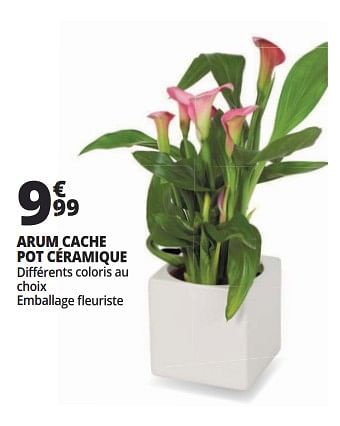 Promoties Arum cache pot céramique - Huismerk - Auchan - Geldig van 16/05/2018 tot 26/05/2018 bij Auchan