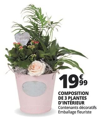 Promotions Composition de 3 plantes d`intérieur - Produit Maison - Auchan Ronq - Valide de 16/05/2018 à 26/05/2018 chez Auchan Ronq