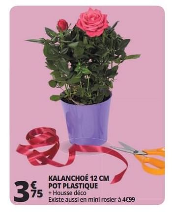 Promoties Kalanchoé 12 cm pot plastique - Huismerk - Auchan - Geldig van 16/05/2018 tot 26/05/2018 bij Auchan