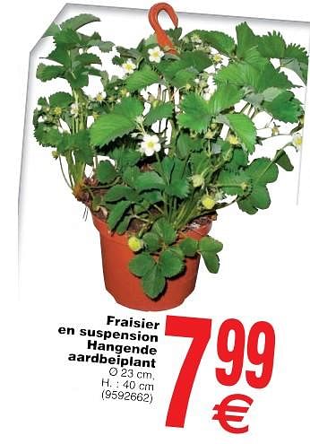 Promoties Fraisier en suspension hangende aardbeiplant - Huismerk - Cora - Geldig van 22/05/2018 tot 04/06/2018 bij Cora