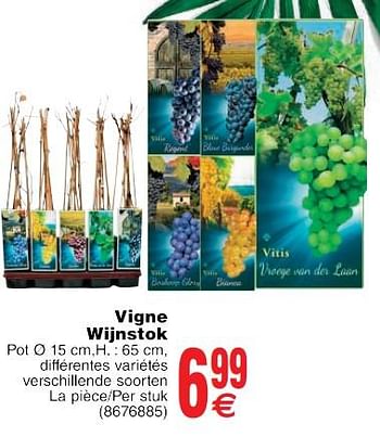 Promotions Vigne druivenboom - Produit maison - Cora - Valide de 22/05/2018 à 04/06/2018 chez Cora