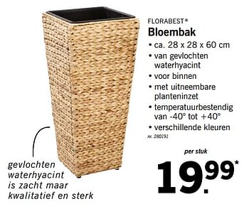 Promoties Bloembak - Flora  Best - Geldig van 28/05/2018 tot 02/06/2018 bij Lidl