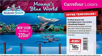 Promotions Profitez de prix très avantageux pour vous rendre à boudewijn seapark - Produit maison - Carrefour  - Valide de 23/05/2018 à 04/06/2018 chez Carrefour