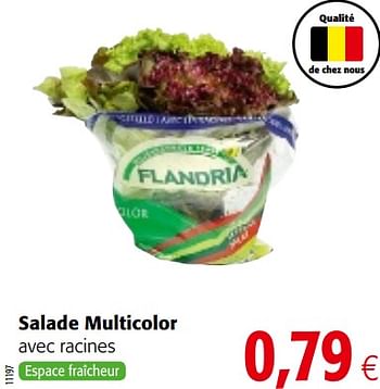 Promotions Salade multicolor avec racines - Produit maison - Colruyt - Valide de 23/05/2018 à 05/06/2018 chez Colruyt