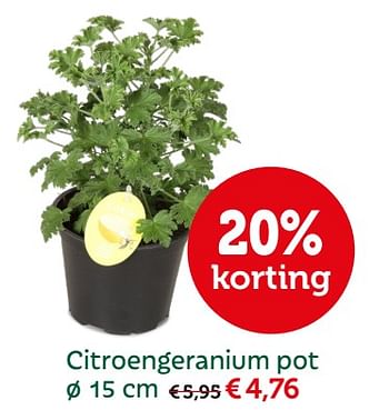 Promoties Citroengeranium pot - Huismerk - Aveve - Geldig van 30/05/2018 tot 09/06/2018 bij Aveve