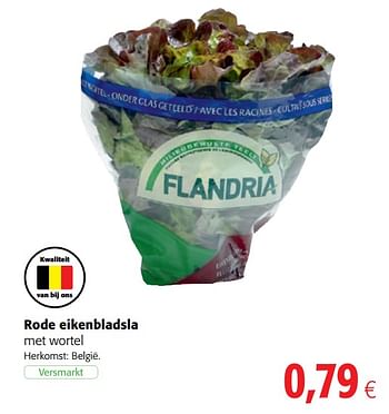 Promoties Rode eikenbladsla met wortel - Flandria - Geldig van 06/06/2018 tot 19/06/2018 bij Colruyt
