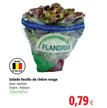 Promotions Salade feuille de chêne rouge avec racines - Flandria - Valide de 06/06/2018 à 19/06/2018 chez Colruyt