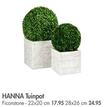 Promoties Hanna tuinpot ficonstone - Huismerk - Casa - Geldig van 01/07/2018 tot 27/07/2018 bij Casa