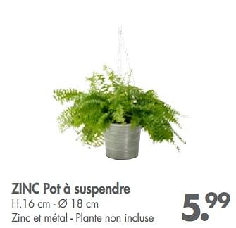 Promotions Zinc pot à suspendre - Produit maison - Casa - Valide de 01/07/2018 à 27/07/2018 chez Casa