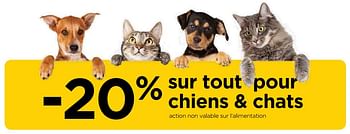Promotions -20% sur tout pour chiens + chats - Produit maison - Molecule - Valide de 29/06/2018 à 31/07/2018 chez Molecule