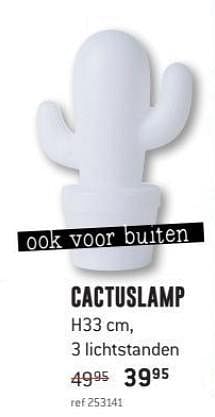 Promoties Cactuslamp - Huismerk - Free Time - Geldig van 30/07/2018 tot 26/08/2018 bij Freetime