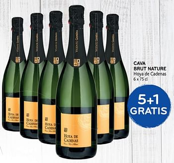 Promoties Cava brut nature , 5+1 gratis - Schuimwijnen - Geldig van 15/08/2018 tot 28/08/2018 bij Alvo