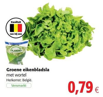 Promoties Groene eikenbladsla met wortel - Huismerk - Colruyt - Geldig van 16/08/2018 tot 28/08/2018 bij Colruyt