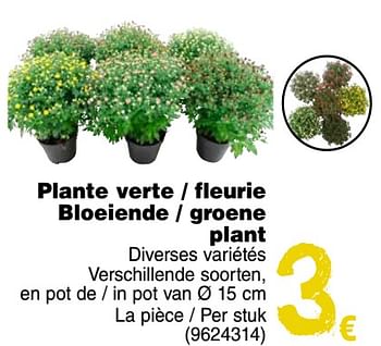 Promoties Plante verte - fleurie bloeiende - groene plant - Huismerk - Cora - Geldig van 11/09/2018 tot 24/09/2018 bij Cora